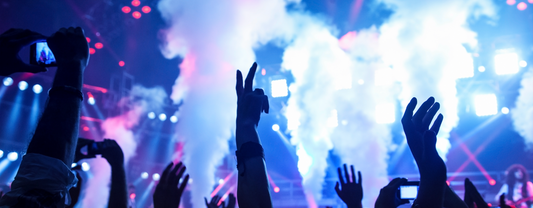 earplugs for concerts or music events